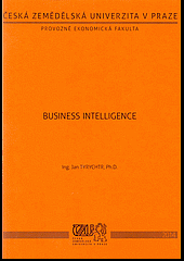 Business Intelligence