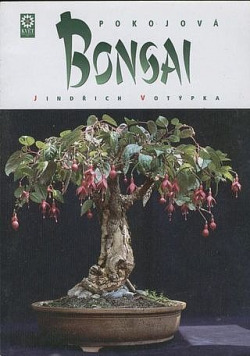 Pokojová Bonsai