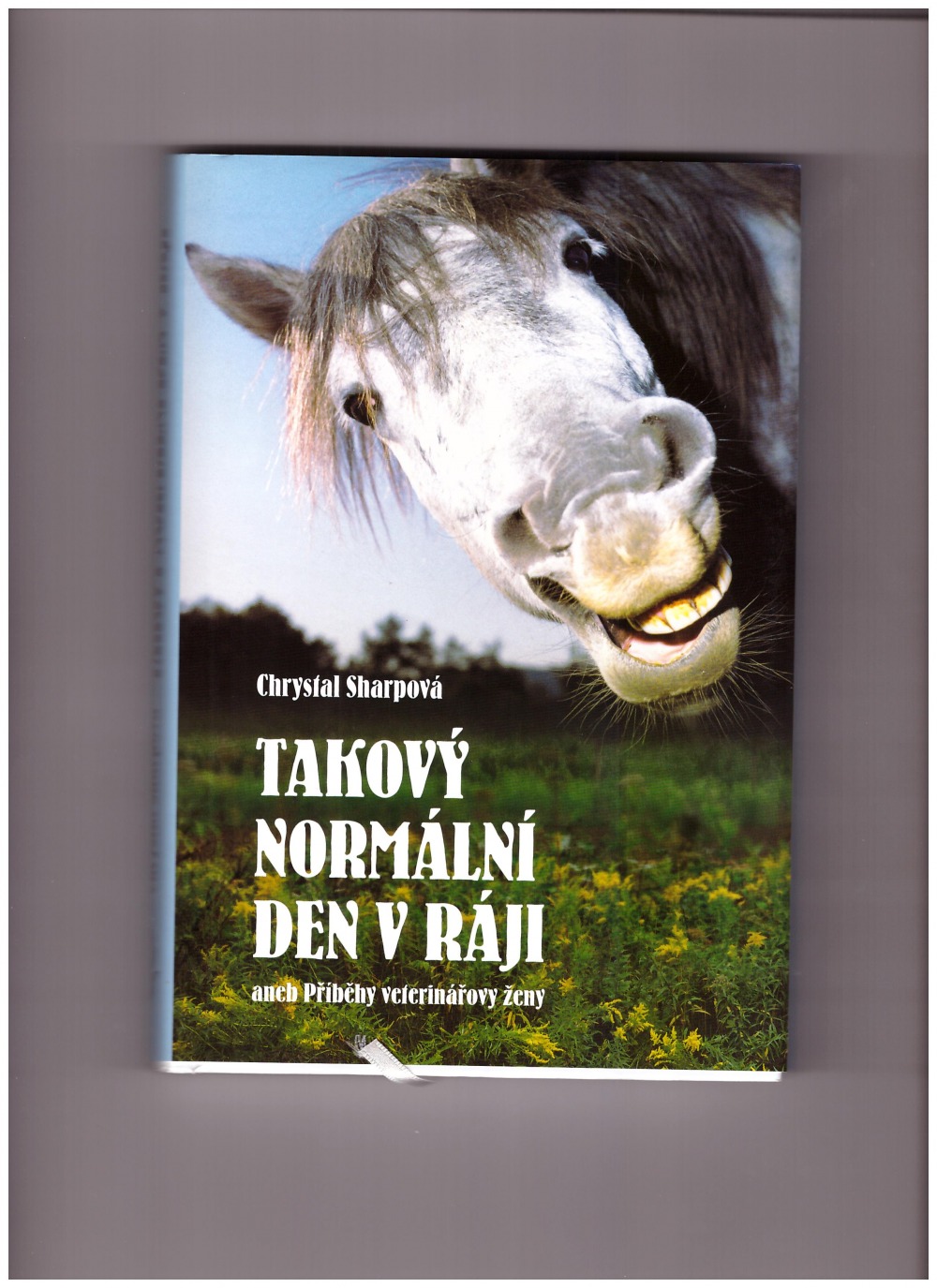 Takový normální den v ráji