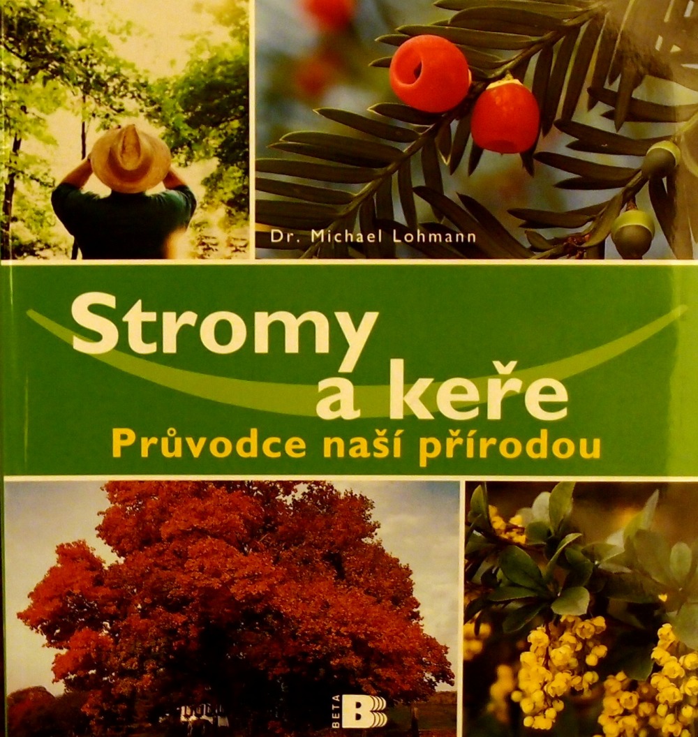 Stromy a keře