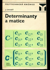 Determinanty a matice