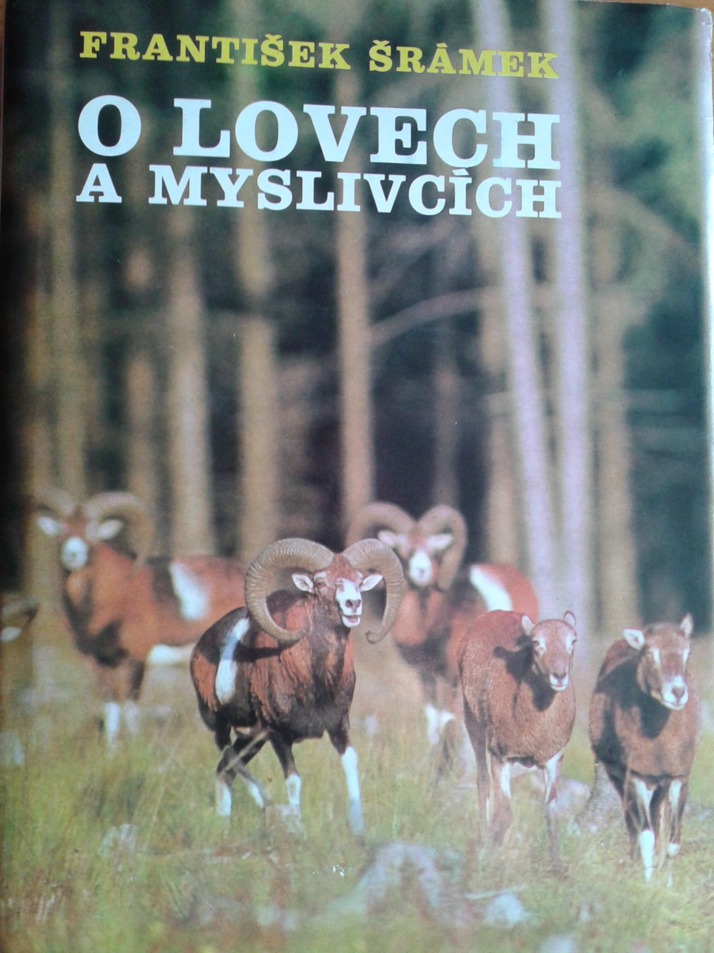 O lovech a myslivcích