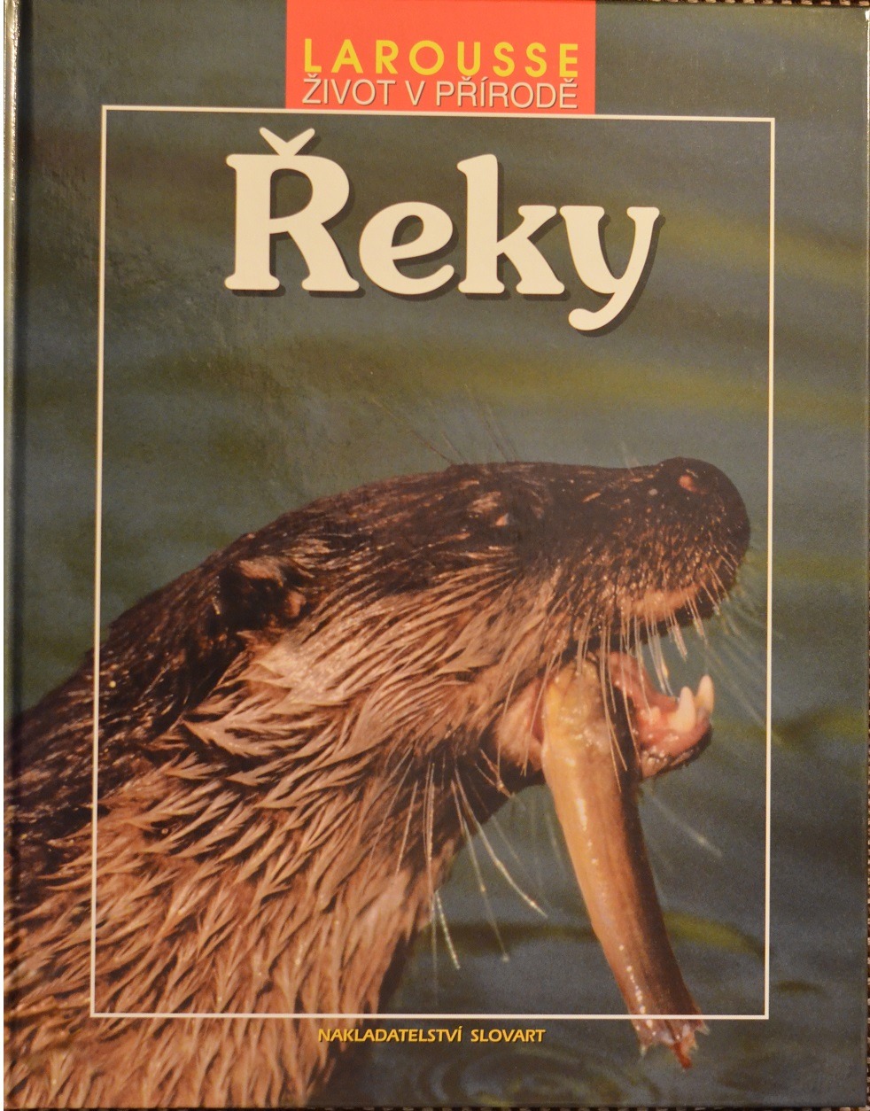 Řeky