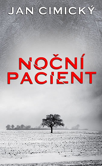 Noční pacient