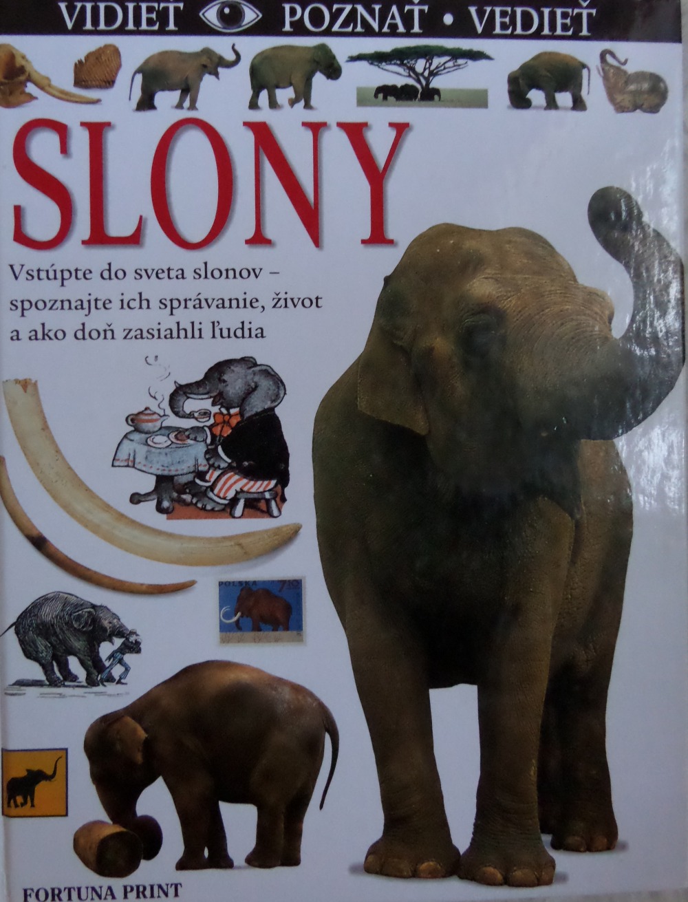 Slony