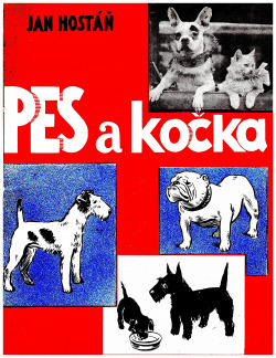 Pes a kočka