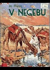 V Negebu