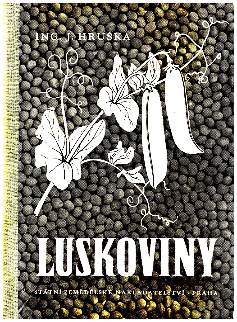 Luskoviny