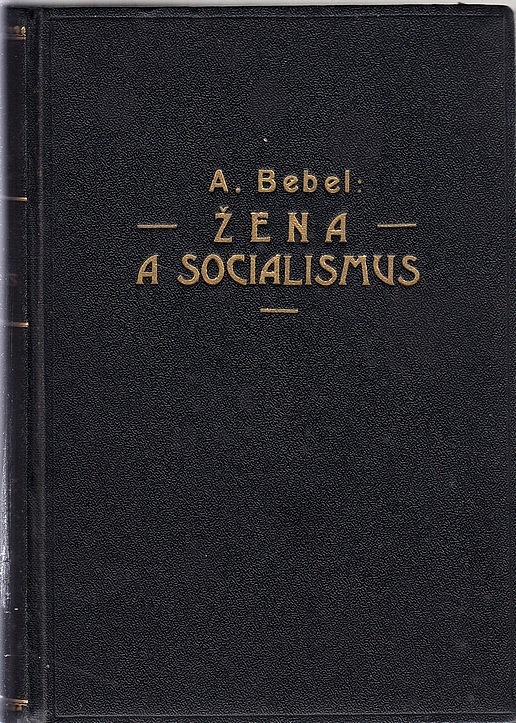 Žena a socialismus