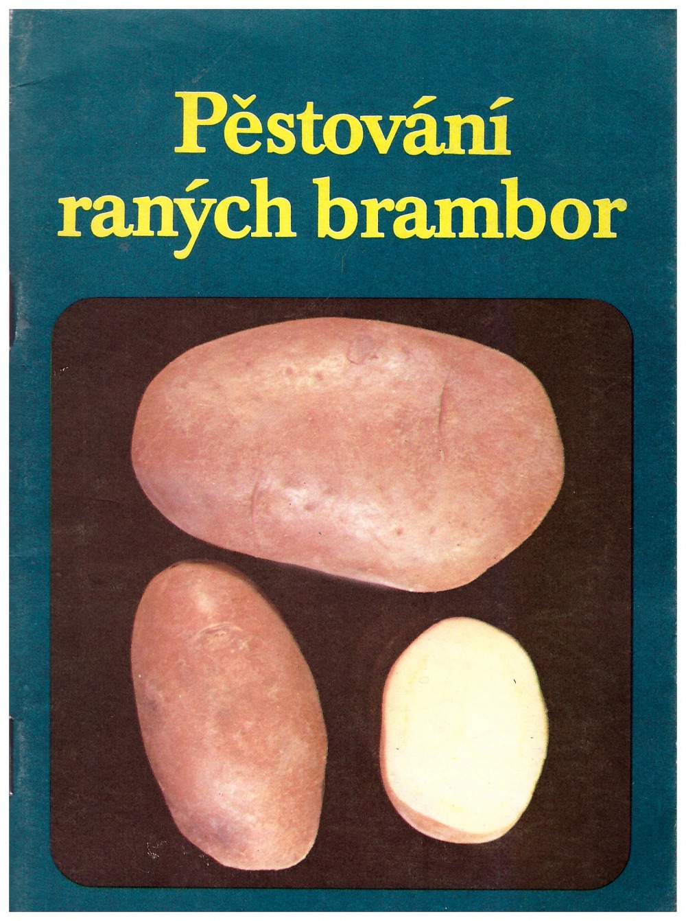 Pěstování raných brambor