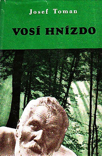 Vosí hnízdo