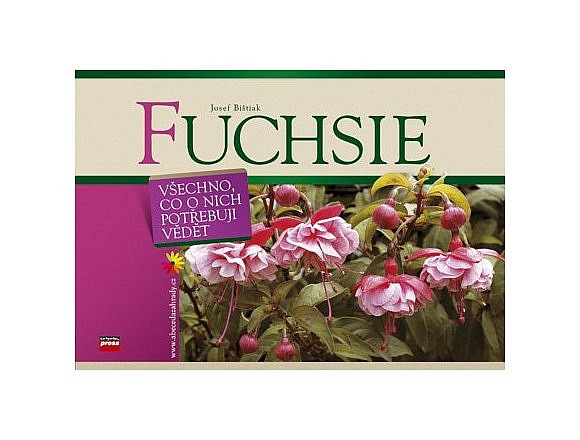 Fuchsie