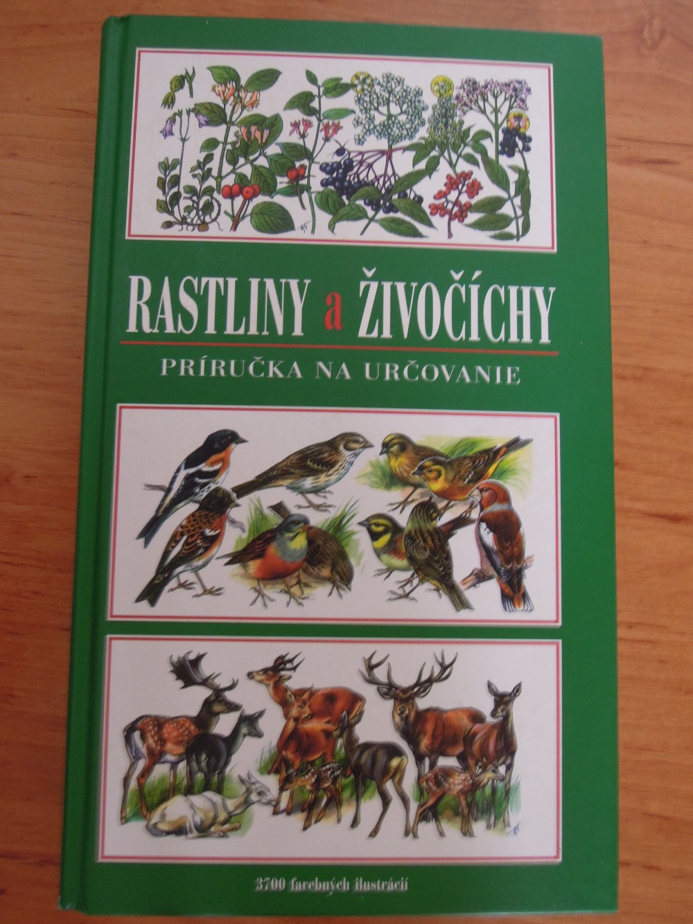 Rastliny a živočíchy - Príručka na určovanie