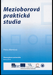 Mezioborová praktická studia