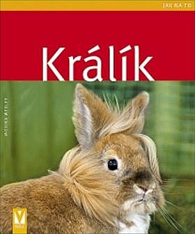 Králík