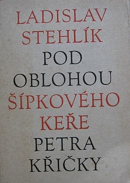 Pod oblohou Šípkového keře Petra Křičky