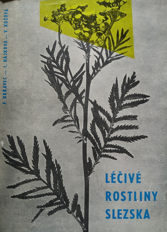 Léčivé rostliny Slezska