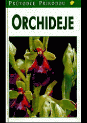 Orchideje