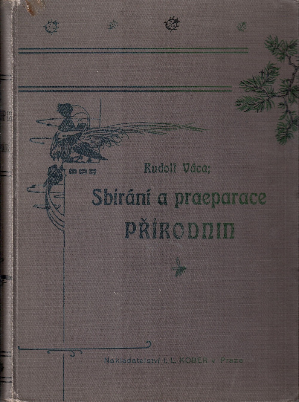 Sbírání a praeparace přírodnin