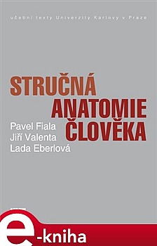 Stručná anatomie člověka