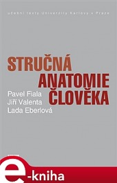 Stručná anatomie člověka