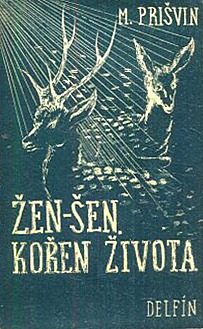 Žen-šen, kořen života