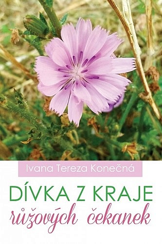 Dívka z kraje růžových čekanek