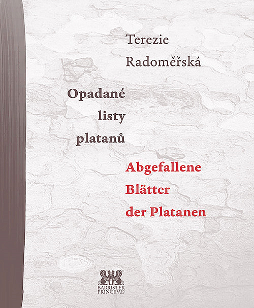 Opadané listy platanů / Abgefallene Blätter der Platanen