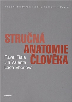 Stručná anatomie člověka