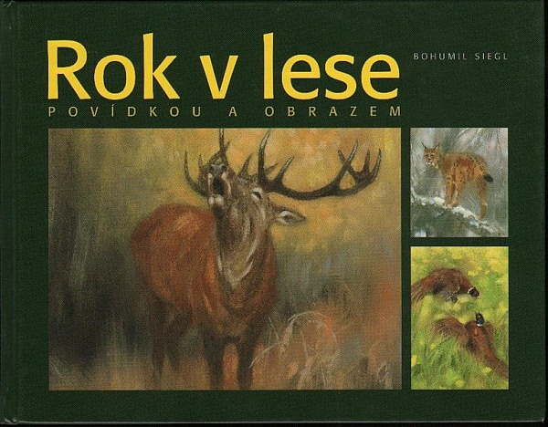 Rok v lese