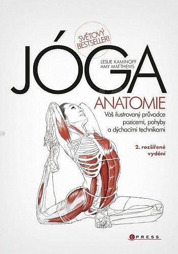 JÓGA - anatomie