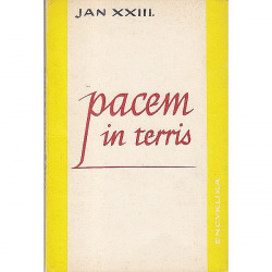 Pacem in terris