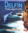 Delfín, příběh jednoho snílka