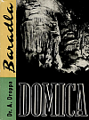 Domica-Baradla: (Jaskyne predhistorického človeka)