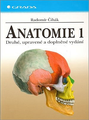 Anatomie 1