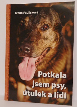 Potkala jsem psy, útulek a lidi