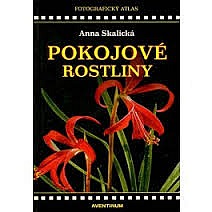 Pokojové rostliny