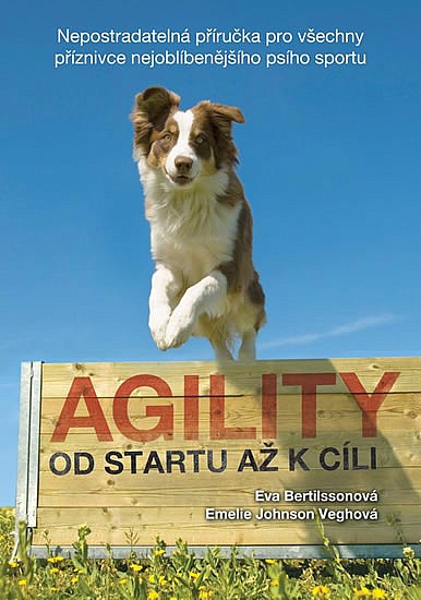 Agility - Od startu až k cíli