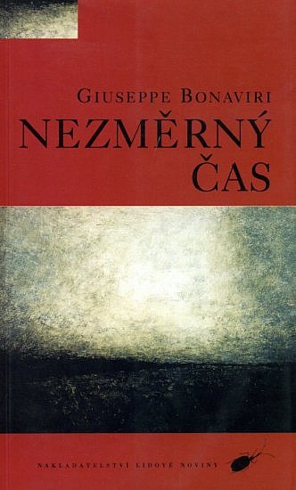 Nezměrný čas