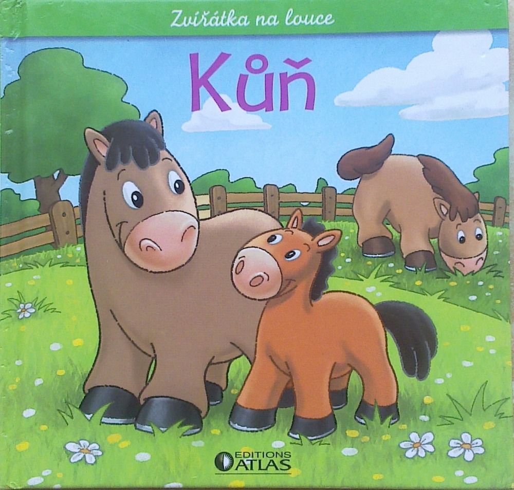 Kůň