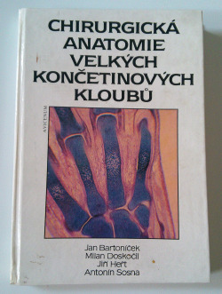 Chirurgická anatomie velkých končetinových kloubů