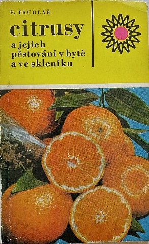 Citrusy a jejich pěstování v bytě a ve skleníku