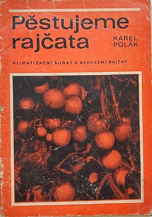 Pěstujeme rajčata