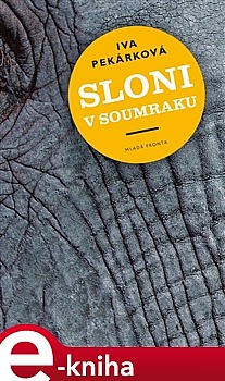 Sloni v soumraku