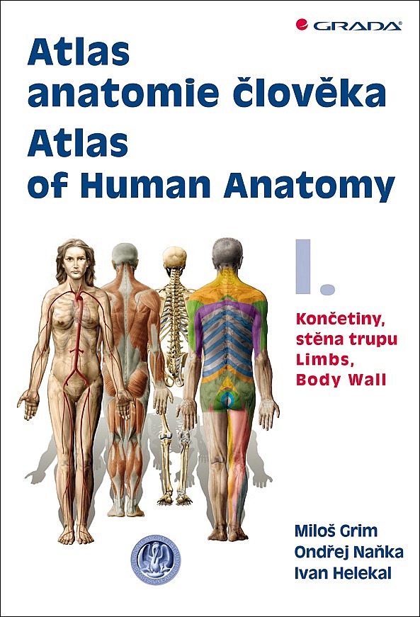 Atlas anatomie člověka I. - Končetiny, stěna trupu