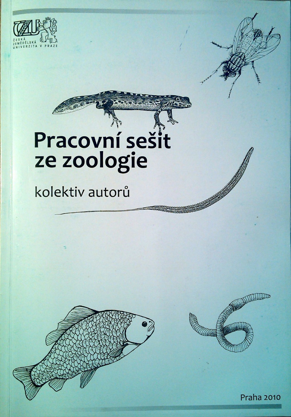 Pracovní sešit ze zoologie