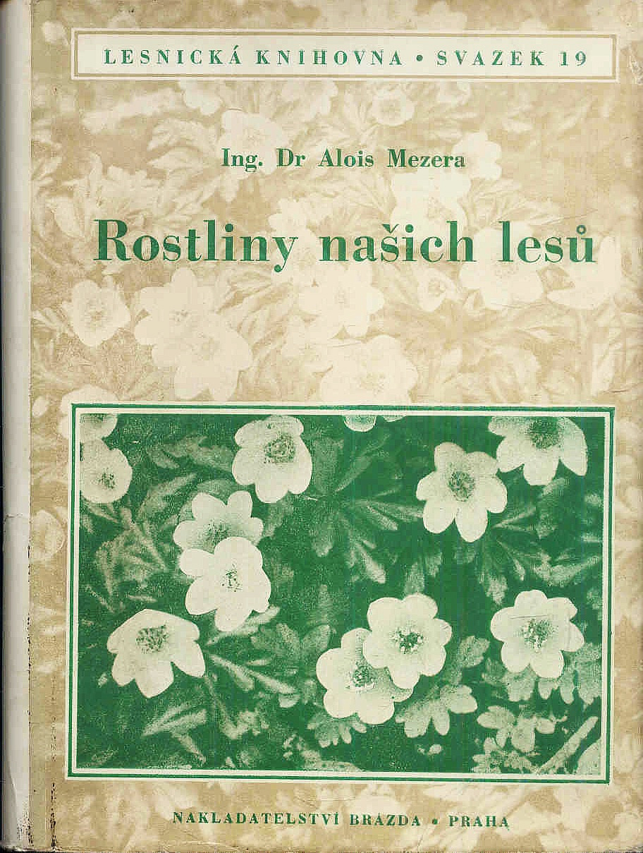 Rostliny našich lesů