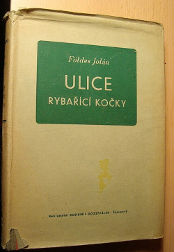 Ulice rybařící kočky