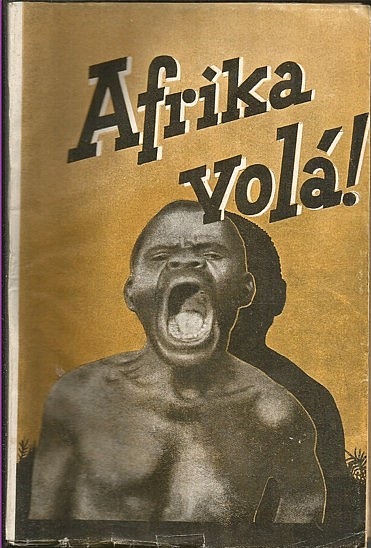 Afrika volá! Cestování v zemi neobmezených možností (1. sv.)