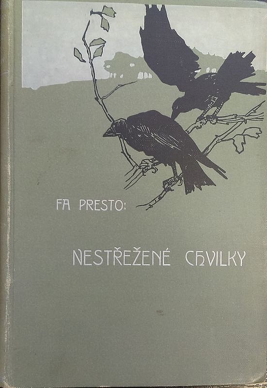 Nestřežené chvilky